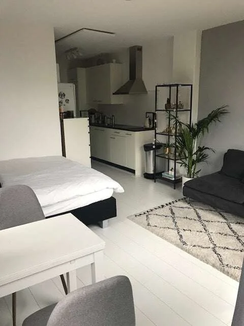 Foto van de Appartement gelegen aan de Looierstraat in Arnhem