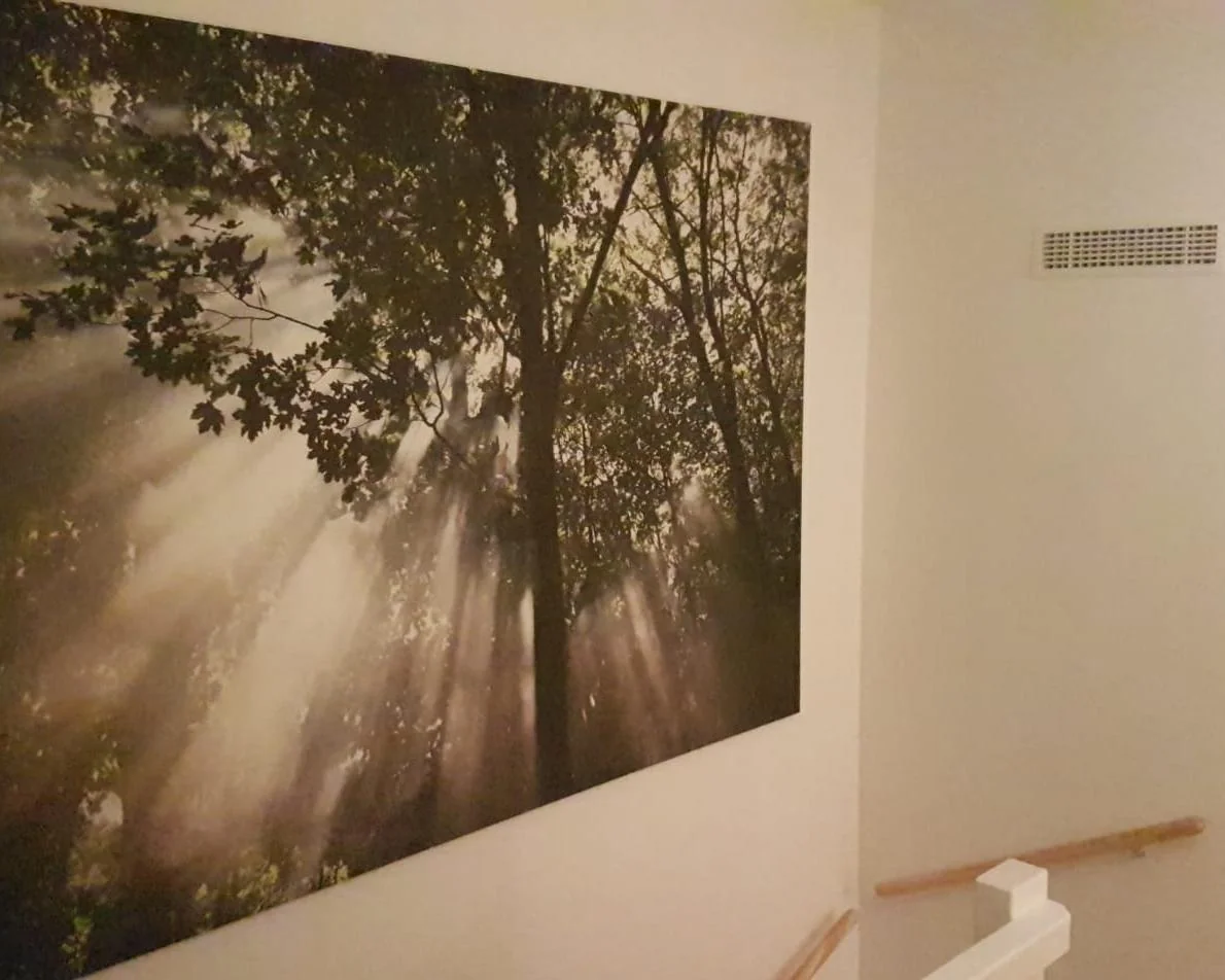 Foto van de Studio gelegen aan de Parelgraslaan in Rijswijk