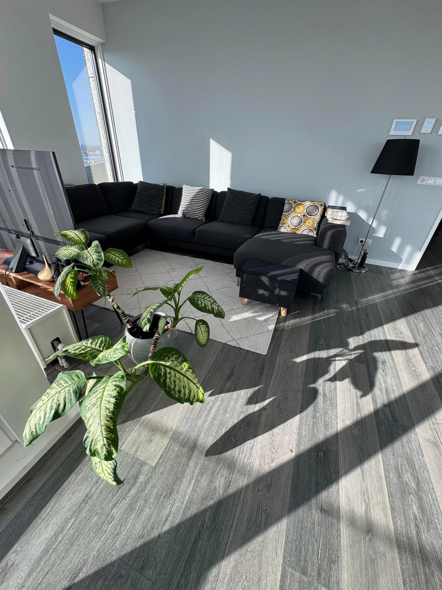 Foto van de Kamer gelegen aan de Ertskade in Amsterdam