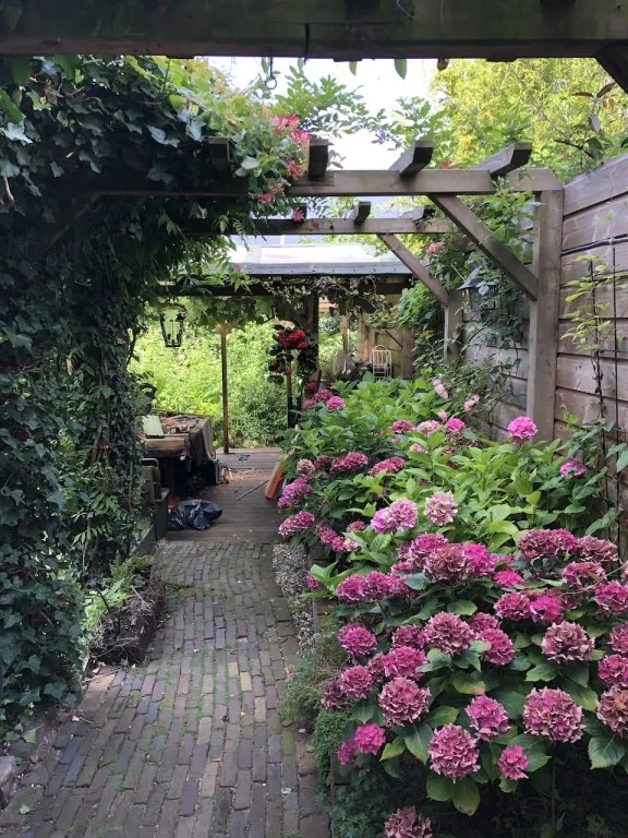 Foto van de Appartement gelegen aan de Narcisplantsoen in Haarlem