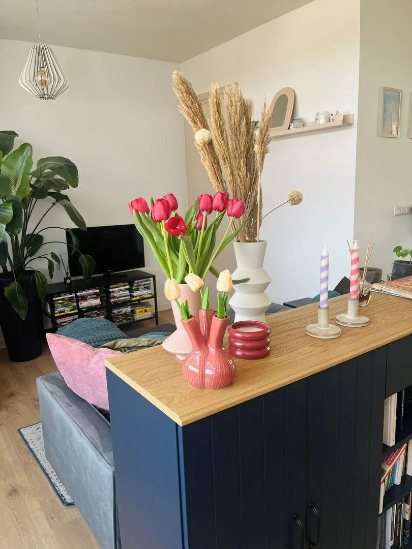 Foto van de Appartement gelegen aan de Hoornweg in Rotterdam