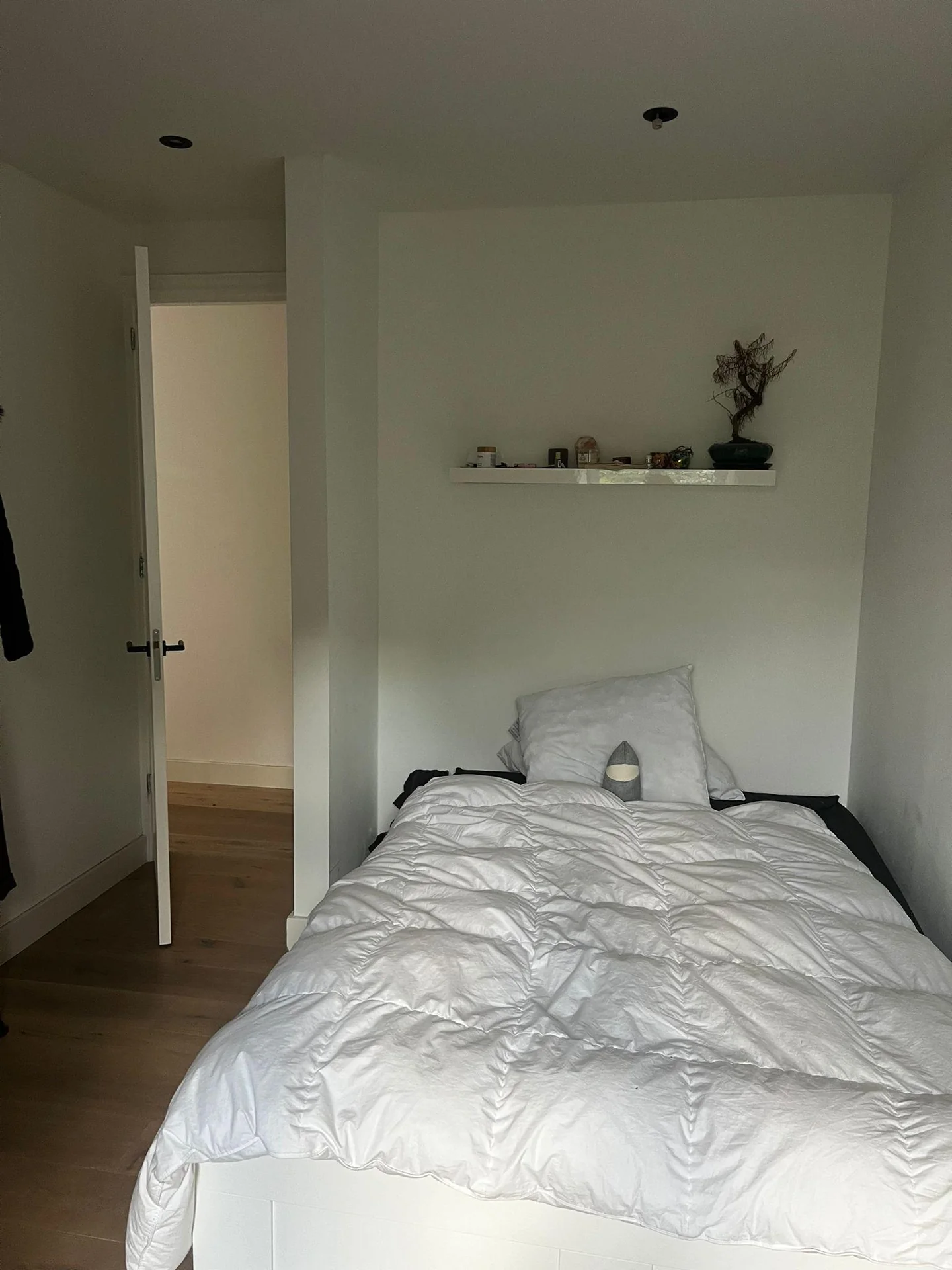 Foto van de Kamer gelegen aan de Van Breestraat in Amsterdam