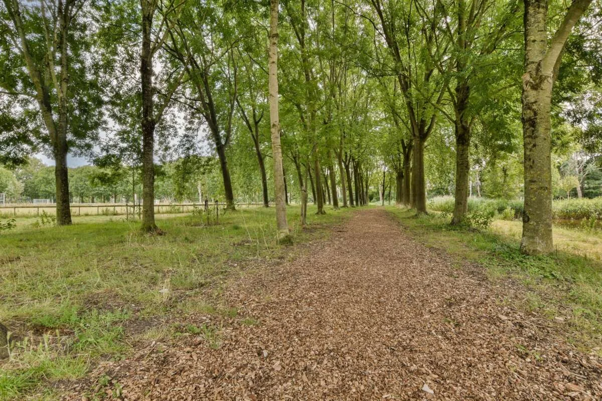 Foto van de Appartement gelegen aan de Boterbloem in Ouderkerk aan de Amstel