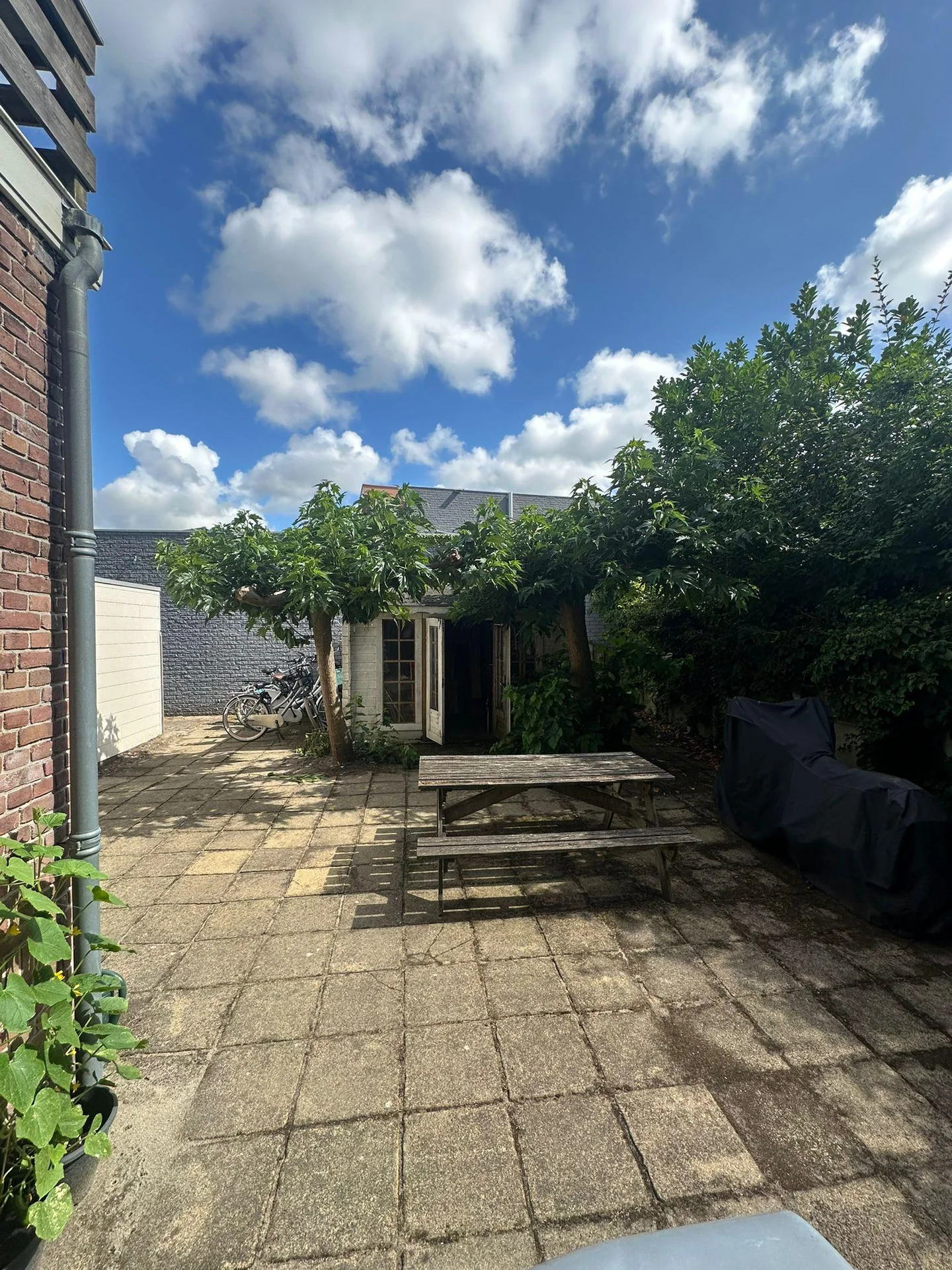 Foto van de Kamer gelegen aan de Hugo de Grootstraat in Delft
