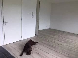 Foto van de Studio gelegen aan de Buizenwerf in Rotterdam