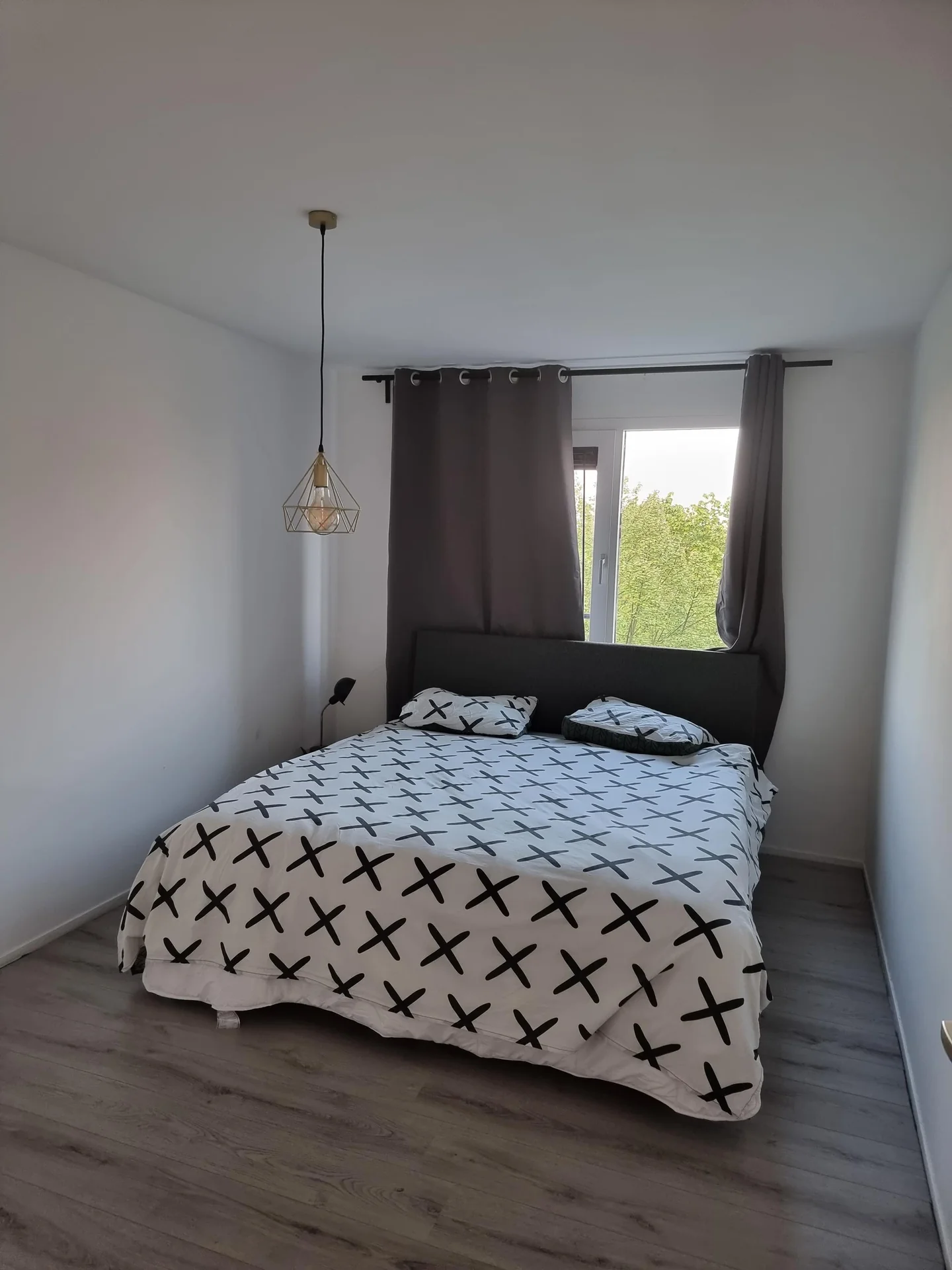 Foto van de Kamer gelegen aan de Hamontstraat in Amsterdam