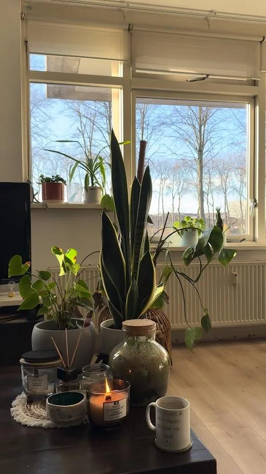 Foto van de Kamer gelegen aan de Amsterdamsestraatweg in Utrecht