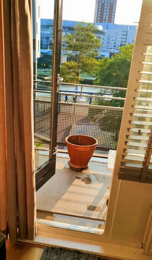 Foto van de Appartement gelegen aan de Rijswijkseweg in Den Haag