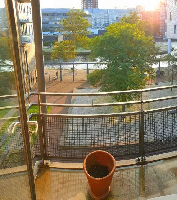 Foto van de Appartement gelegen aan de Rijswijkseweg in Den Haag