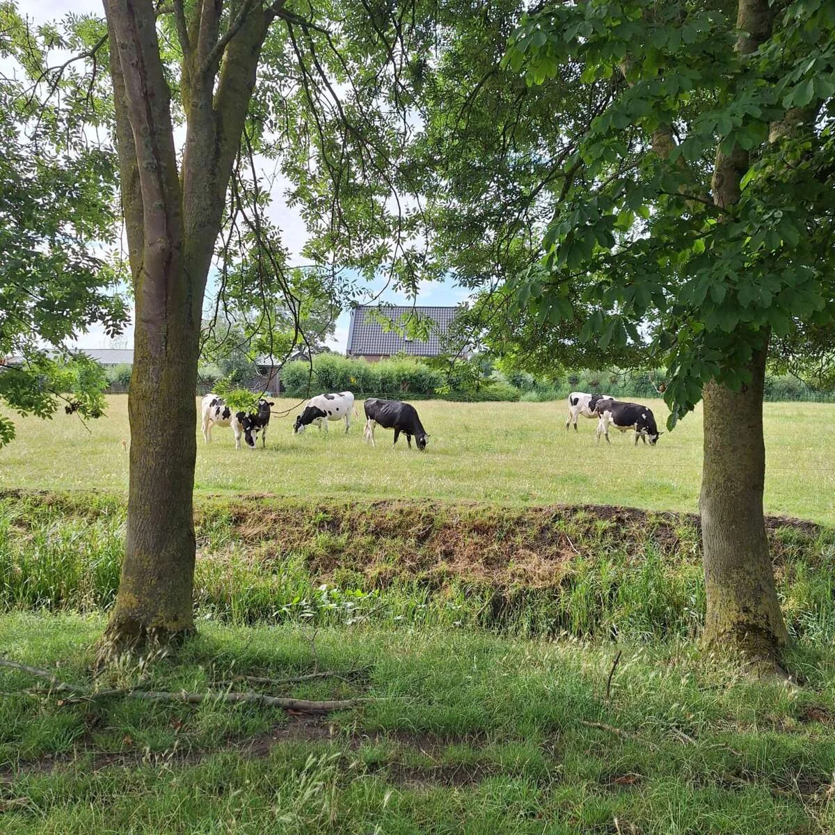 Foto van de Appartement gelegen aan de Zuideindseweg in Delfgauw