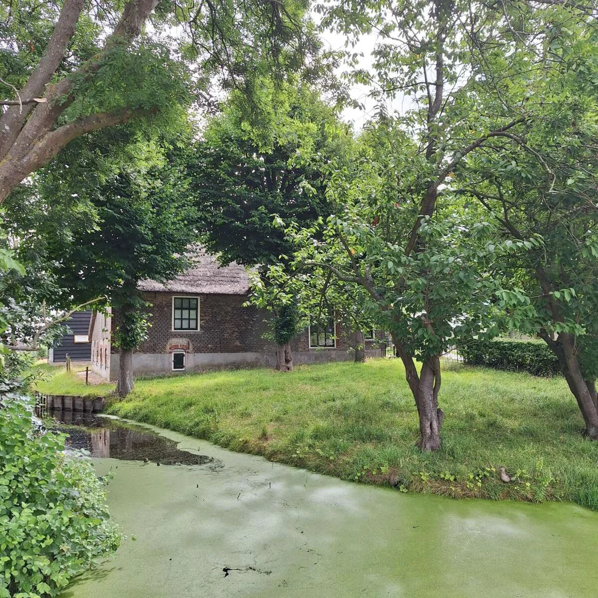 Foto van de Appartement gelegen aan de Zuideindseweg in Delfgauw