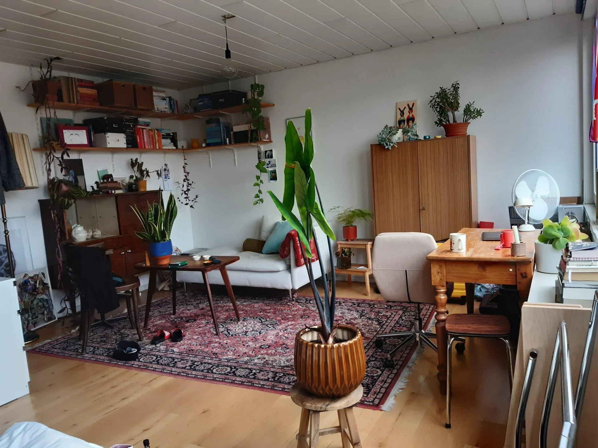 Foto van de Kamer gelegen aan de Johan Herman Doornstraat in Amsterdam