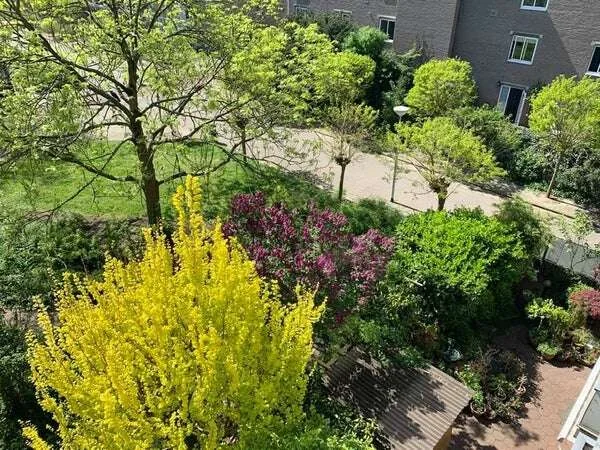 Foto van de Appartement gelegen aan de Hof van Groenen in Amsterdam