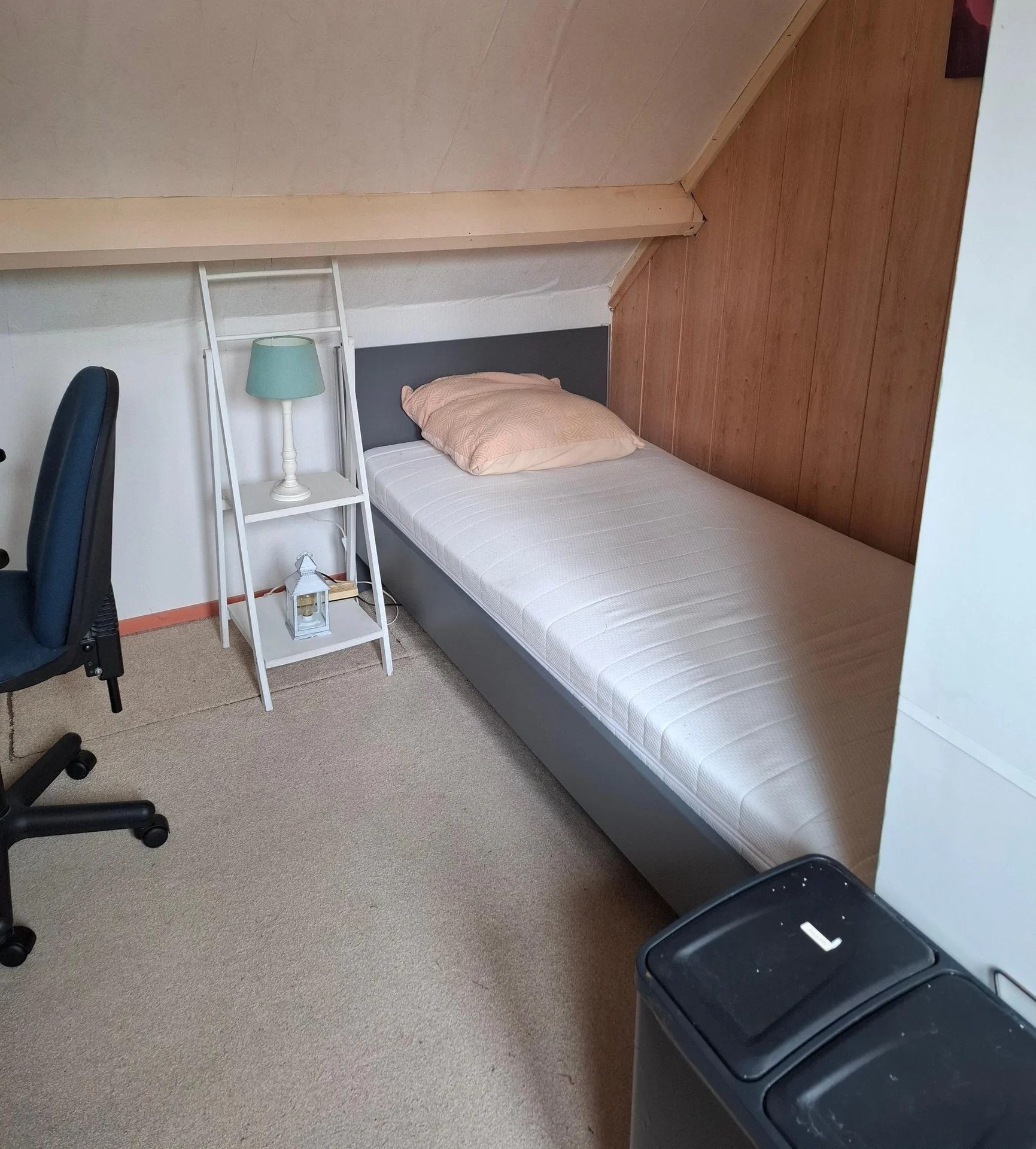 Foto van de Kamer gelegen aan de Berckheydestraat in Ede