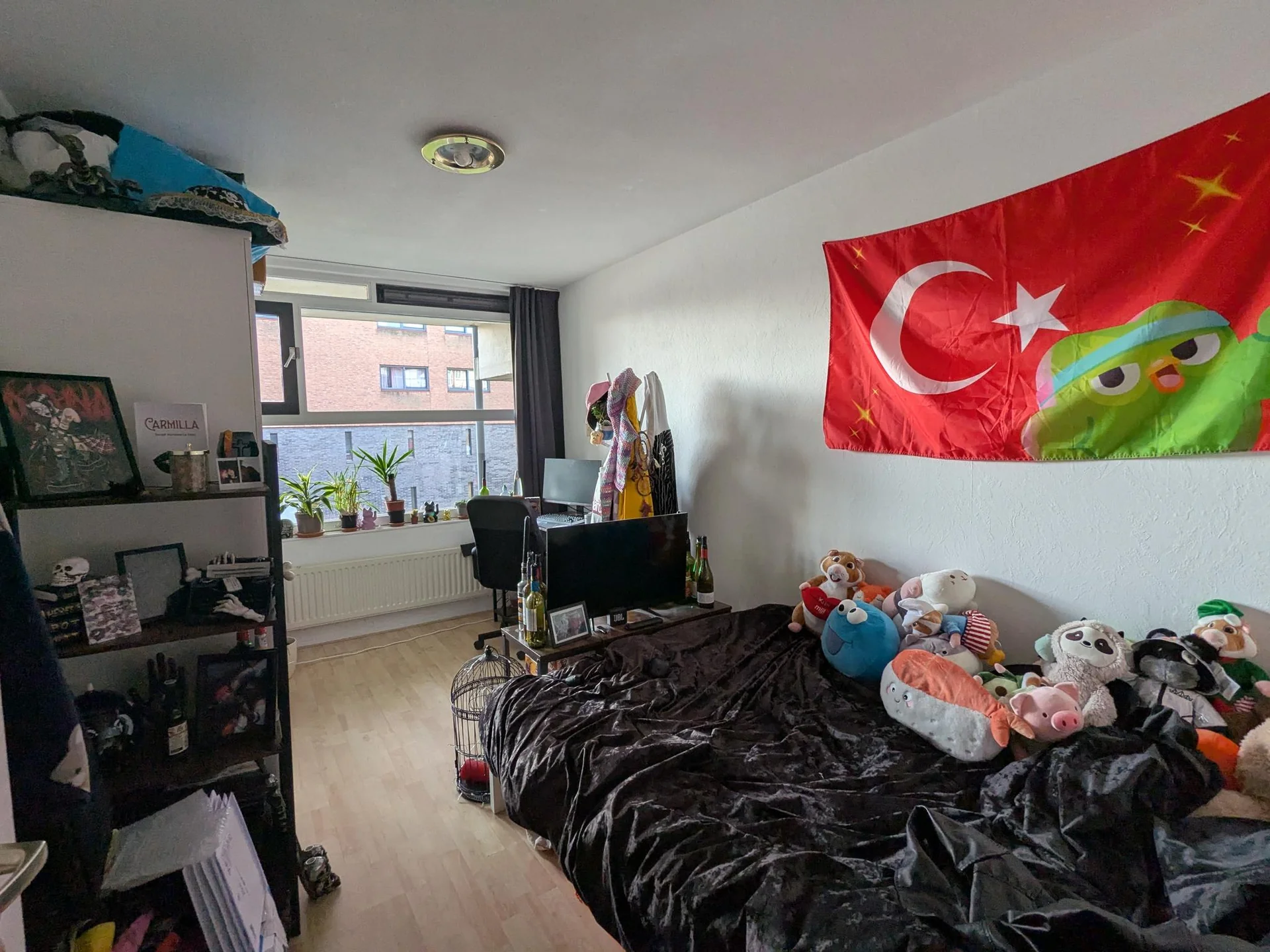 Foto van de Kamer gelegen aan de Rijswijkseweg in Den Haag