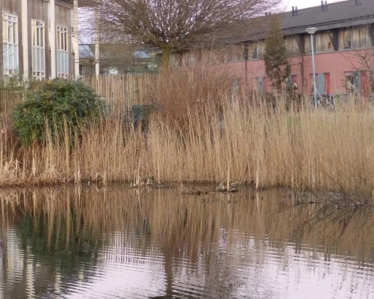 Foto van de Kamer gelegen aan de Waterland in Groningen