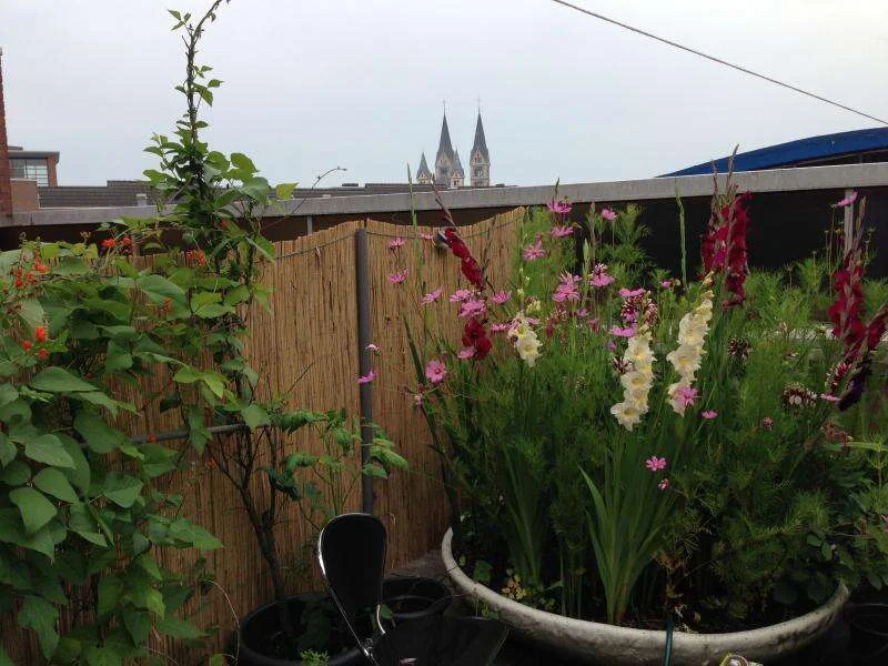 Foto van de Studio gelegen aan de Godsweerdersingel in Roermond