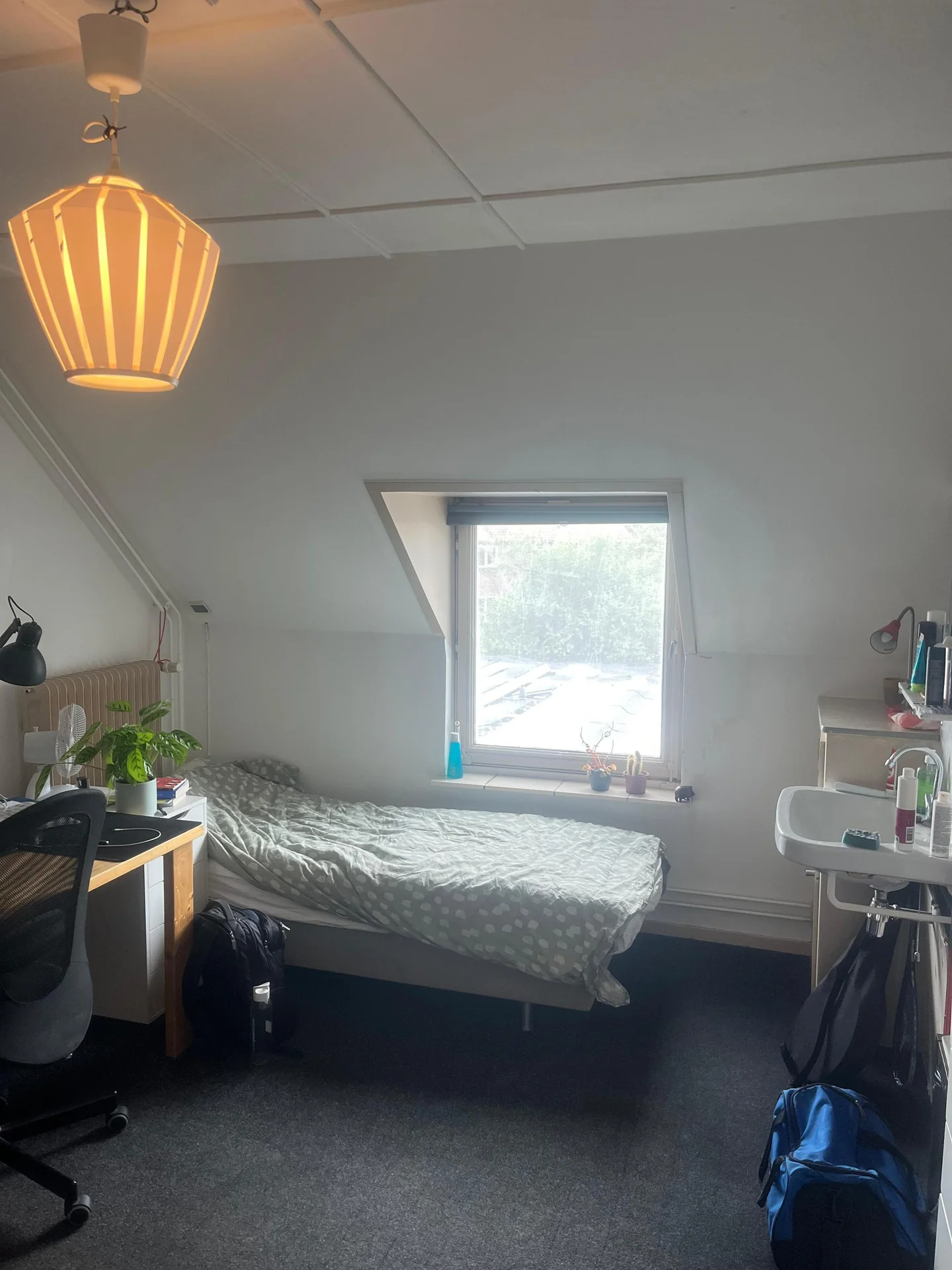 Foto van de Kamer gelegen aan de Tongelresestraat in Eindhoven