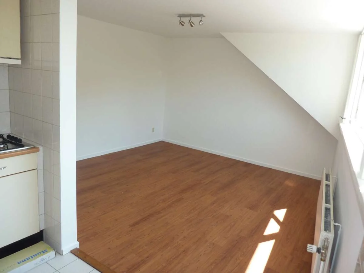 Foto van de Appartement gelegen aan de Amsterdamsestraatweg in Utrecht