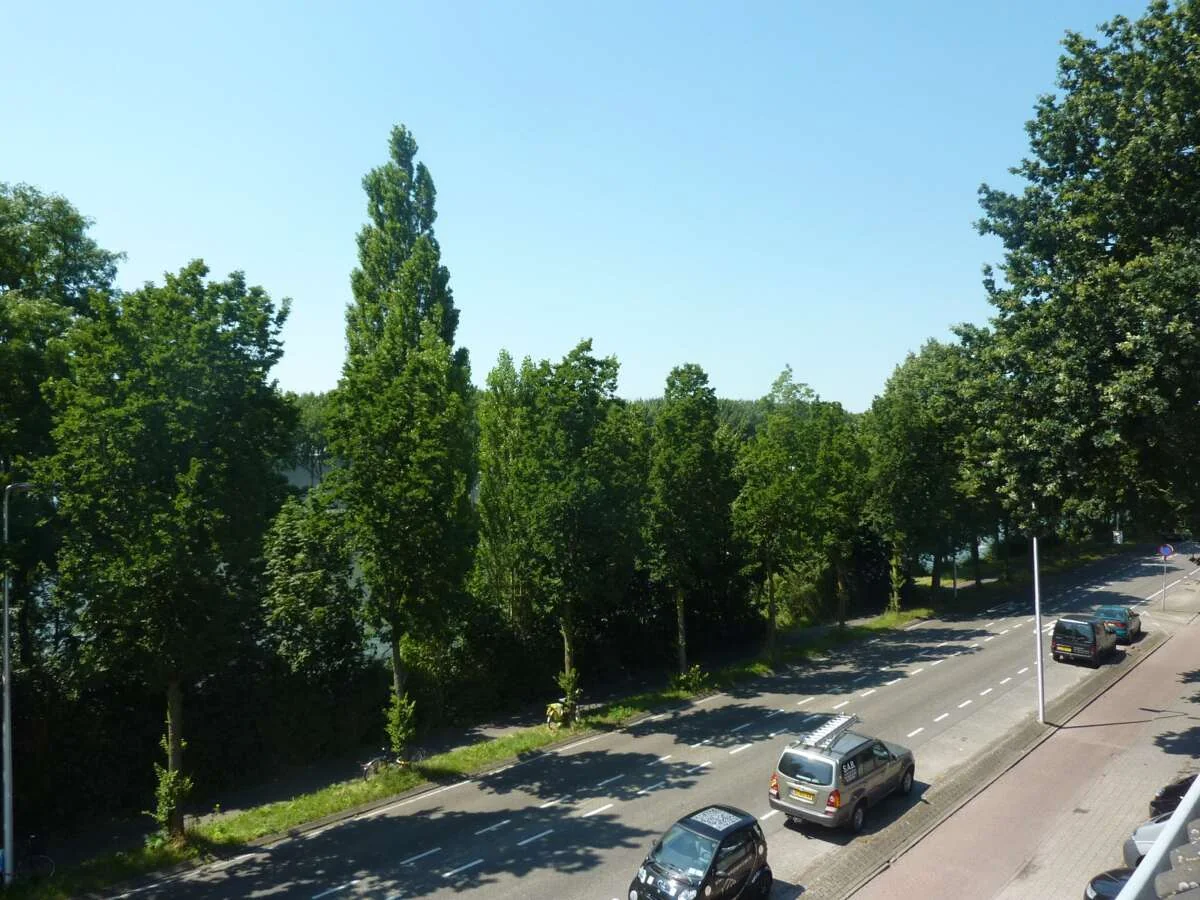 Foto van de Appartement gelegen aan de Amsterdamsestraatweg in Utrecht