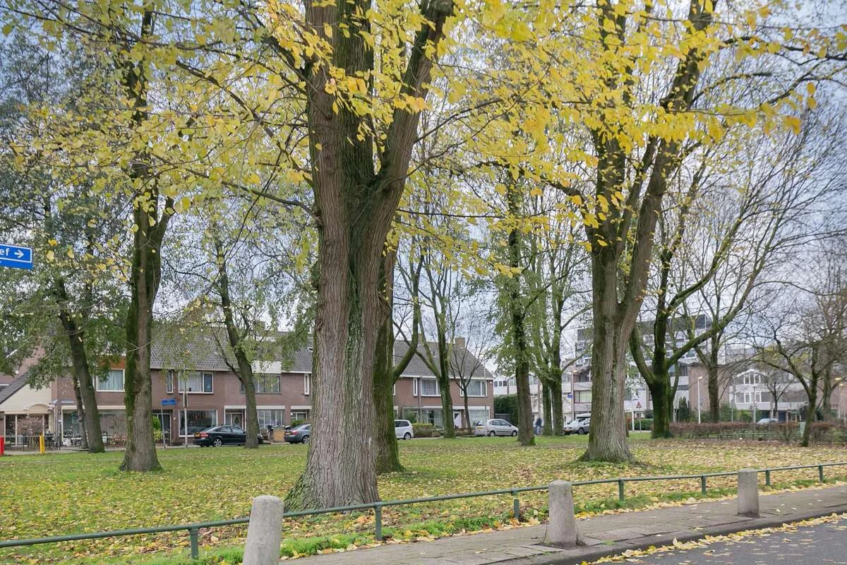 Foto van de Appartement gelegen aan de Othellodreef in Utrecht