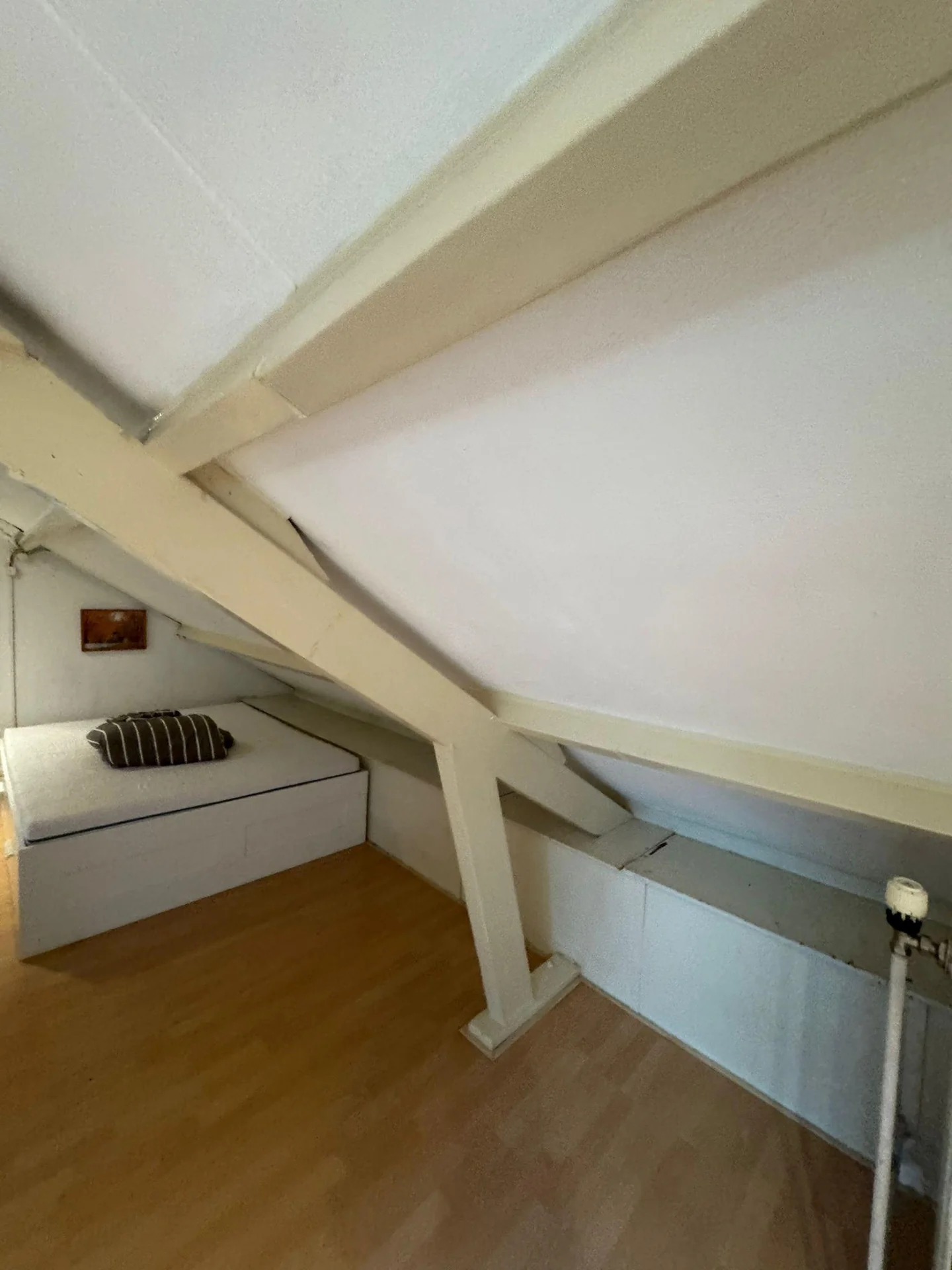 Foto van de Studio gelegen aan de Graafseweg in Den Bosch