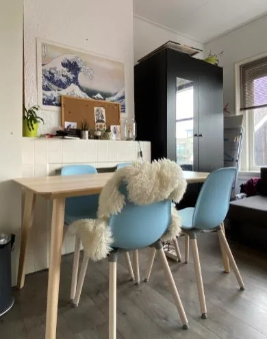 Foto van de Studio gelegen aan de Hoge Rijndijk in Leiden
