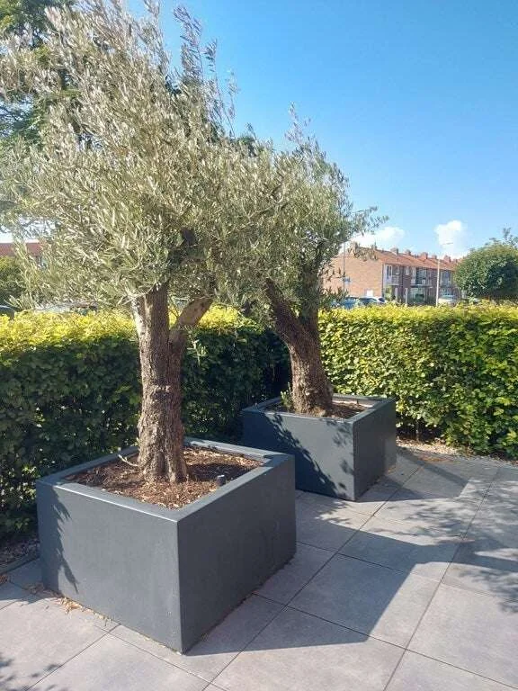 Foto van de Appartement gelegen aan de Sint Jeroensweg in Noordwijk