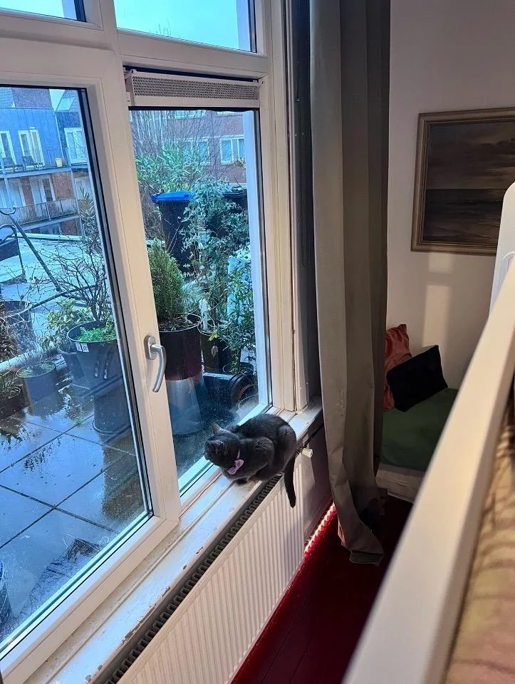 Foto van de Kamer gelegen aan de Lutherse Burgwal in Den Haag