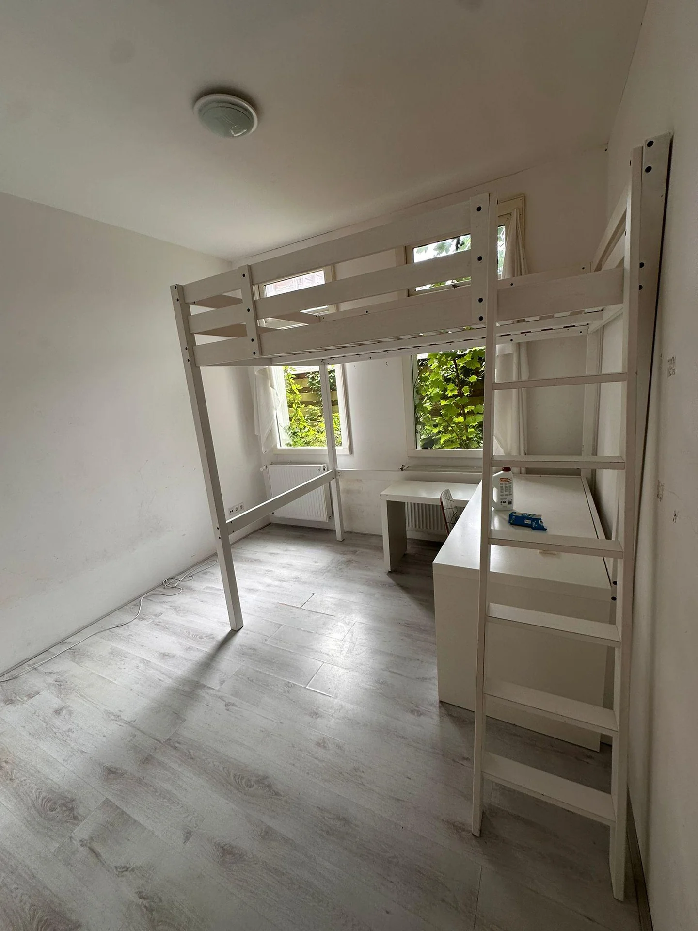 Foto van de Kamer gelegen aan de Riouwstraat in Groningen
