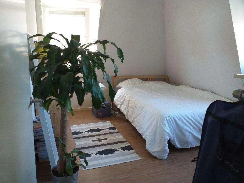 Foto van de Appartement gelegen aan de Berewoutstraat in Den Bosch