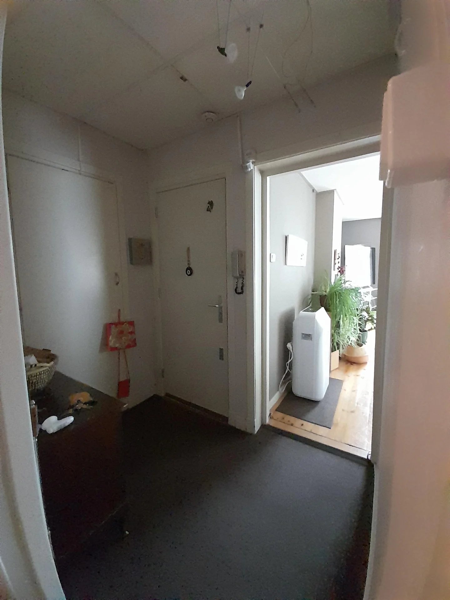 Foto van de Appartement gelegen aan de Olympiaplein in Amsterdam