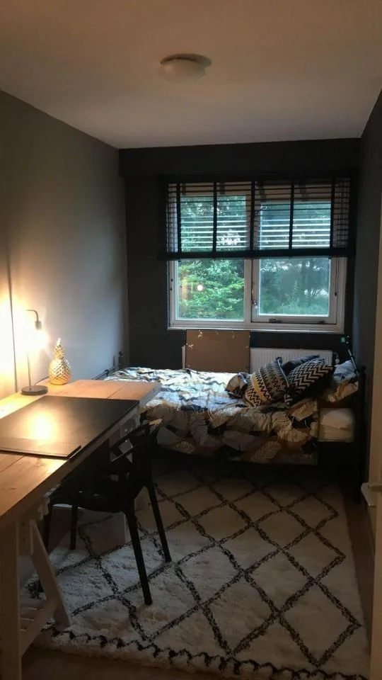 Foto van de Kamer gelegen aan de Burgemeester Patijnlaan in Den Haag