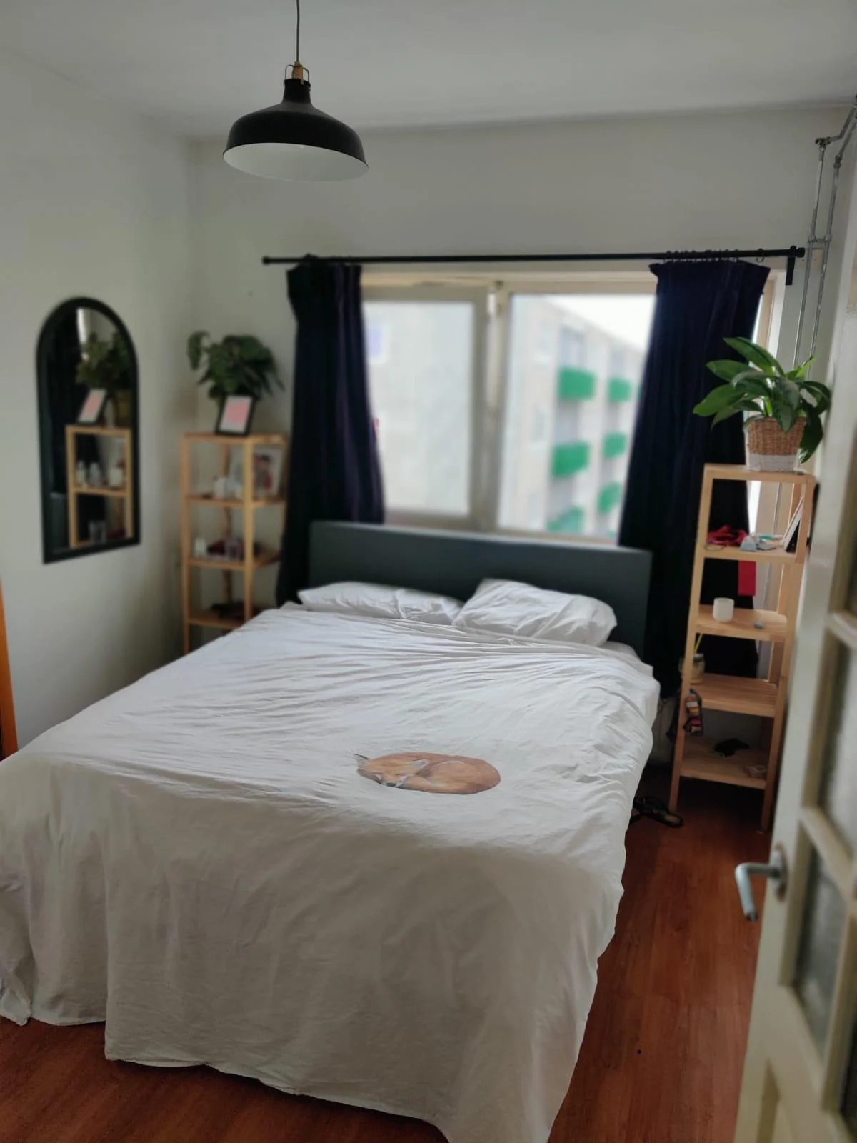 Foto van de Appartement gelegen aan de Theodorus Dobbestraat in Amsterdam