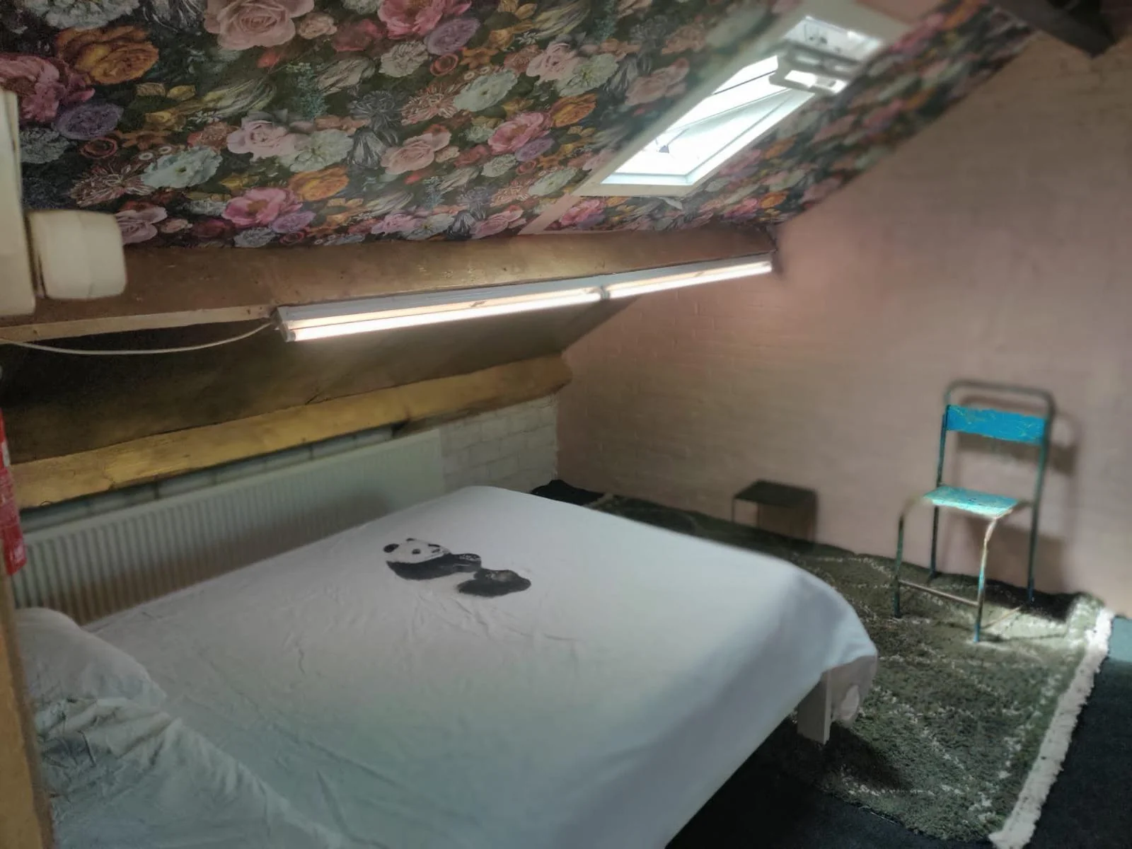 Foto van de Appartement gelegen aan de Theodorus Dobbestraat in Amsterdam