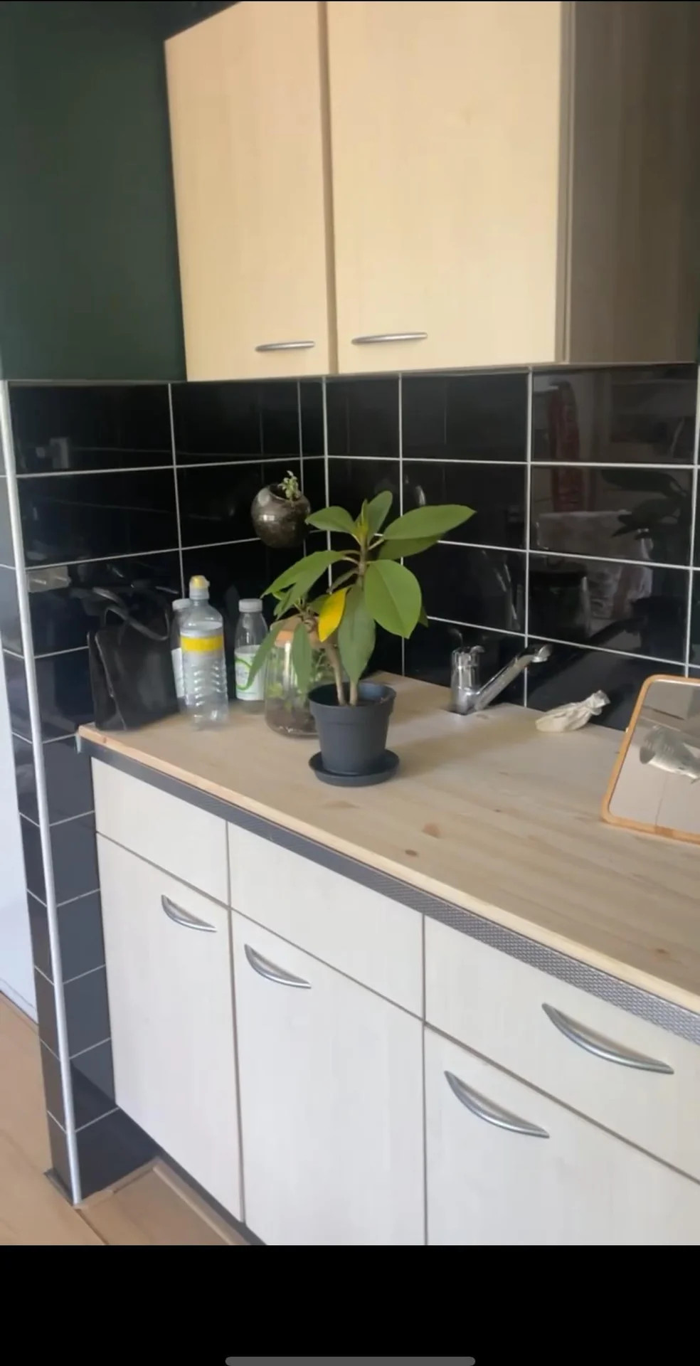 Foto van de Kamer gelegen aan de Hagedissingel in Delft