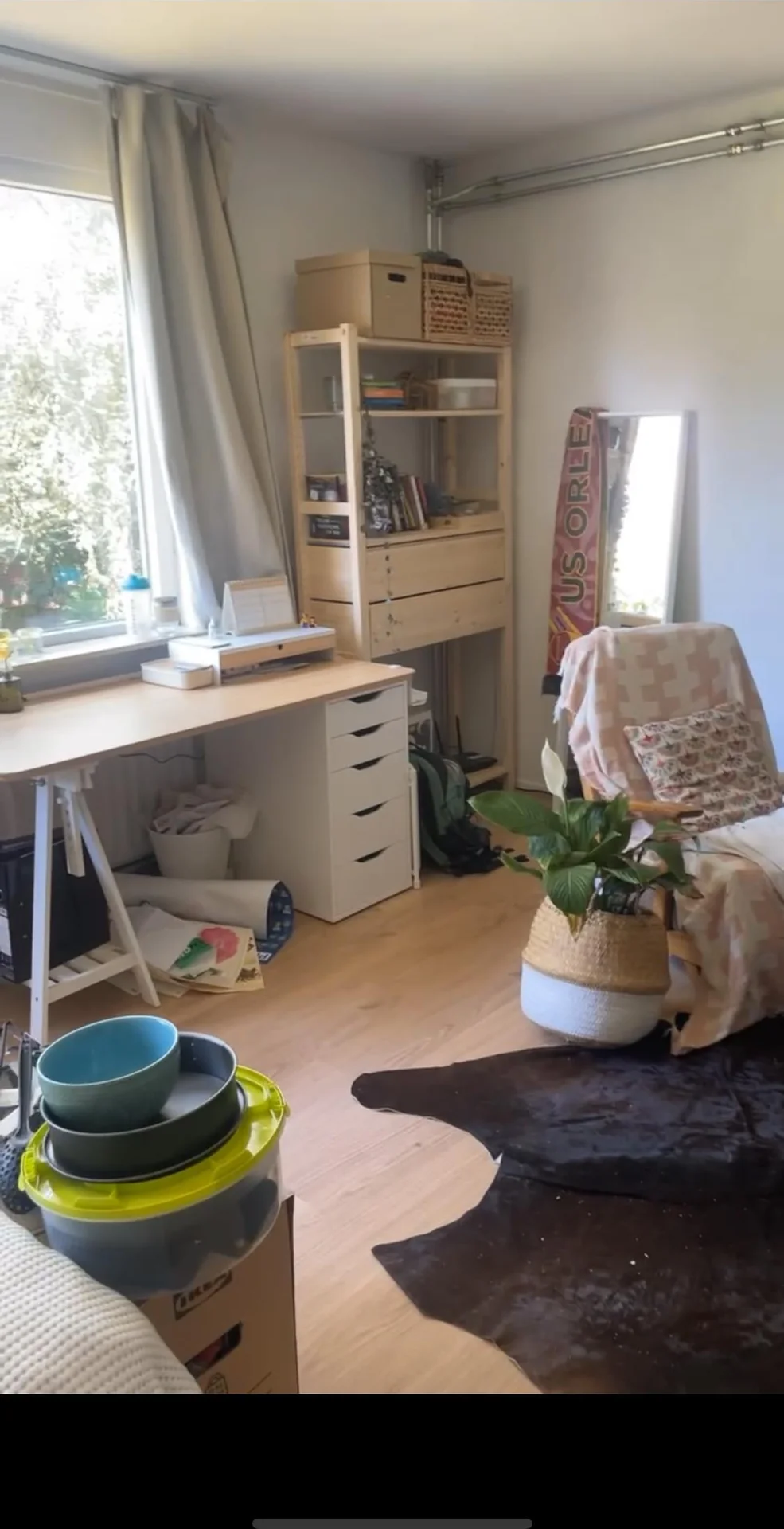 Foto van de Kamer gelegen aan de Hagedissingel in Delft