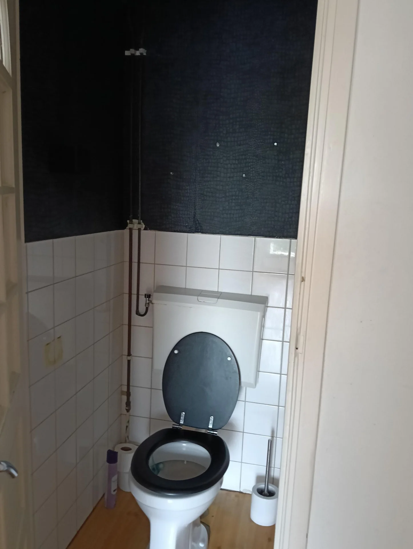 Foto van de Appartement gelegen aan de Theodorus Dobbestraat in Amsterdam