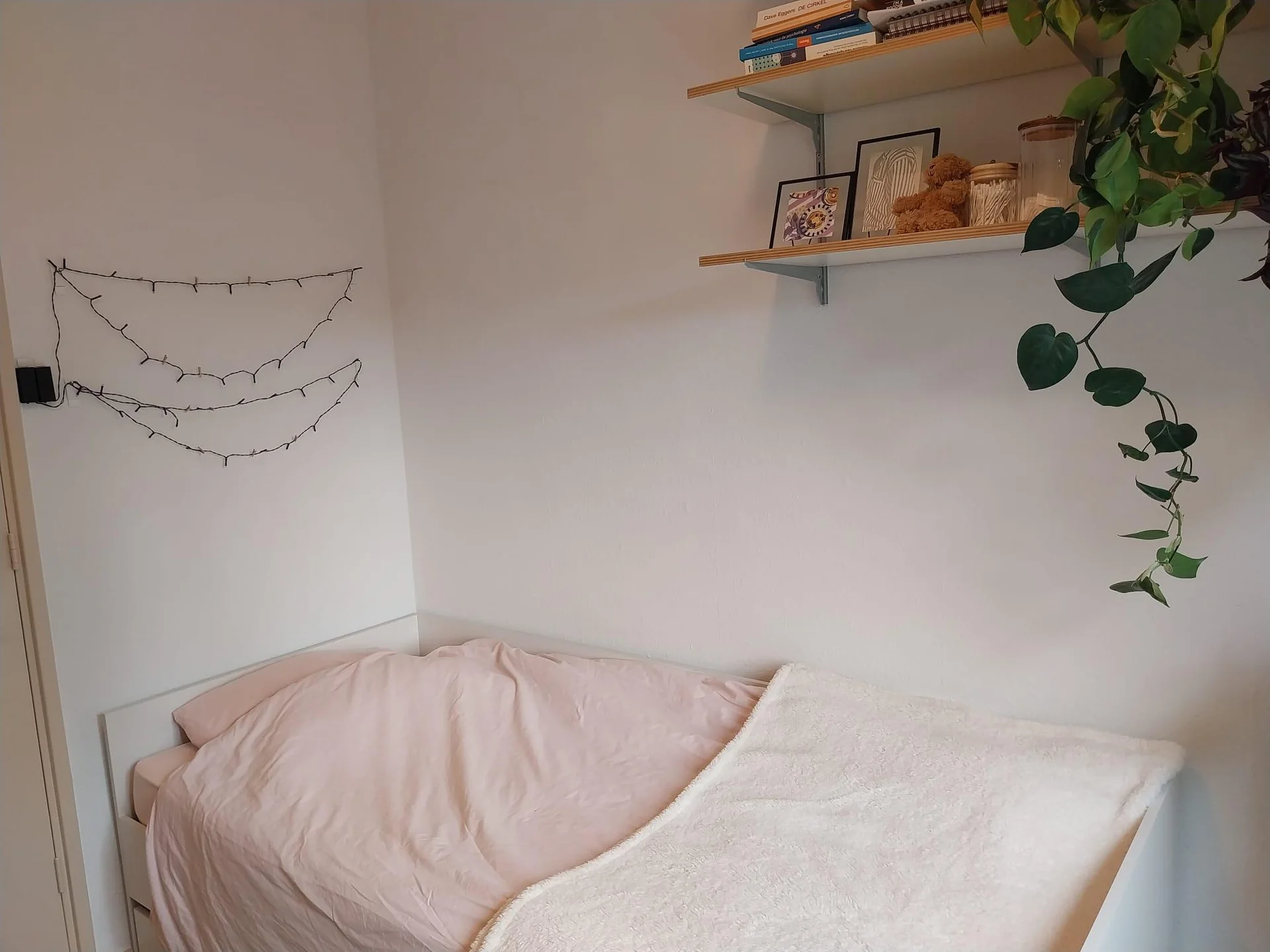 Foto van de Kamer gelegen aan de Antiloopstraat in Nijmegen