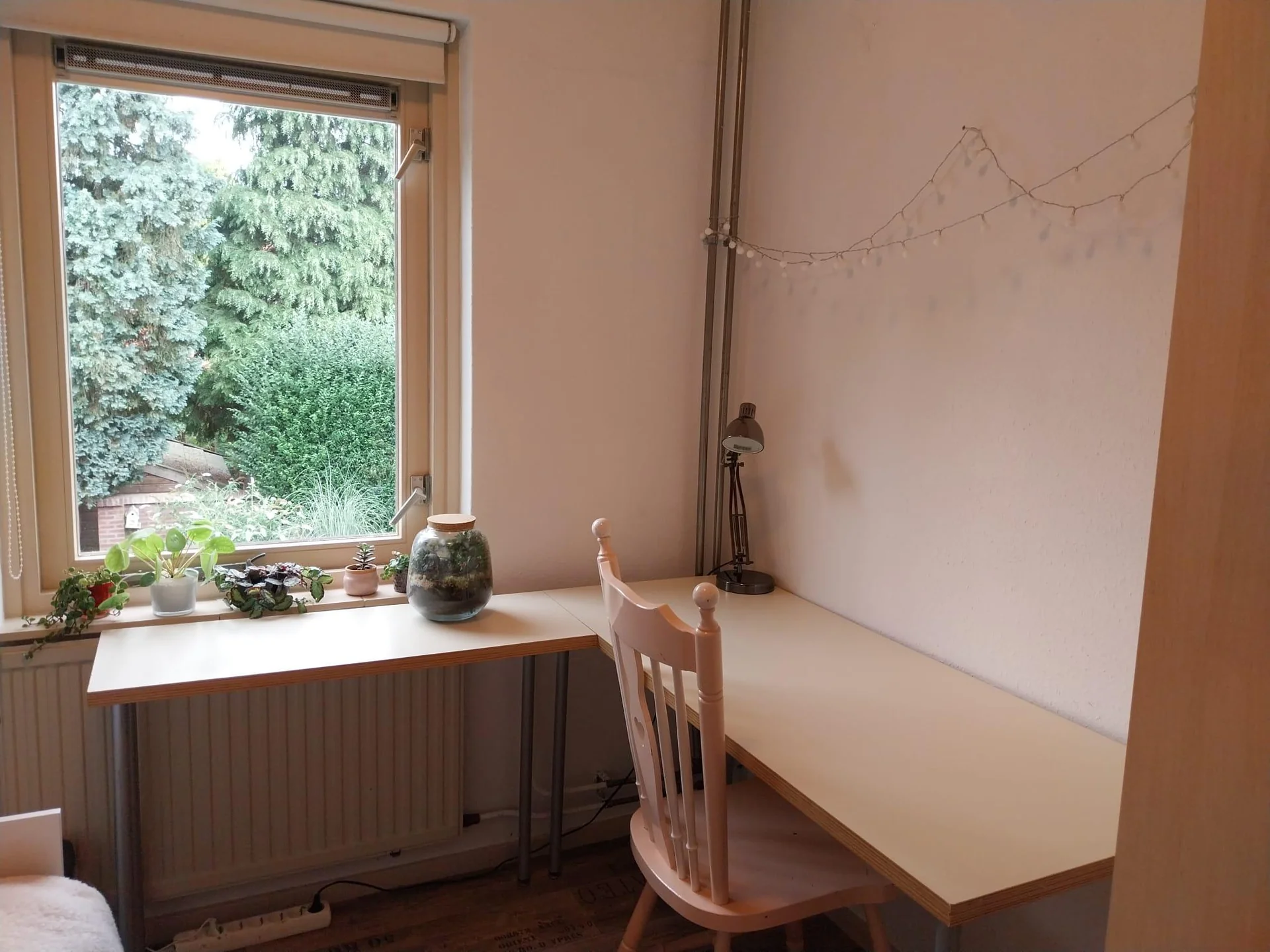 Foto van de Kamer gelegen aan de Antiloopstraat in Nijmegen