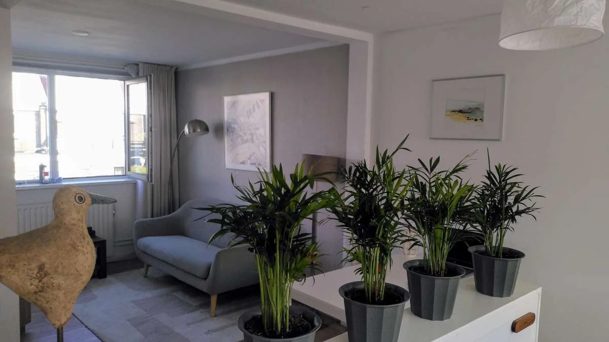 Foto van de Appartement gelegen aan de Cosijnstraat in Leiden