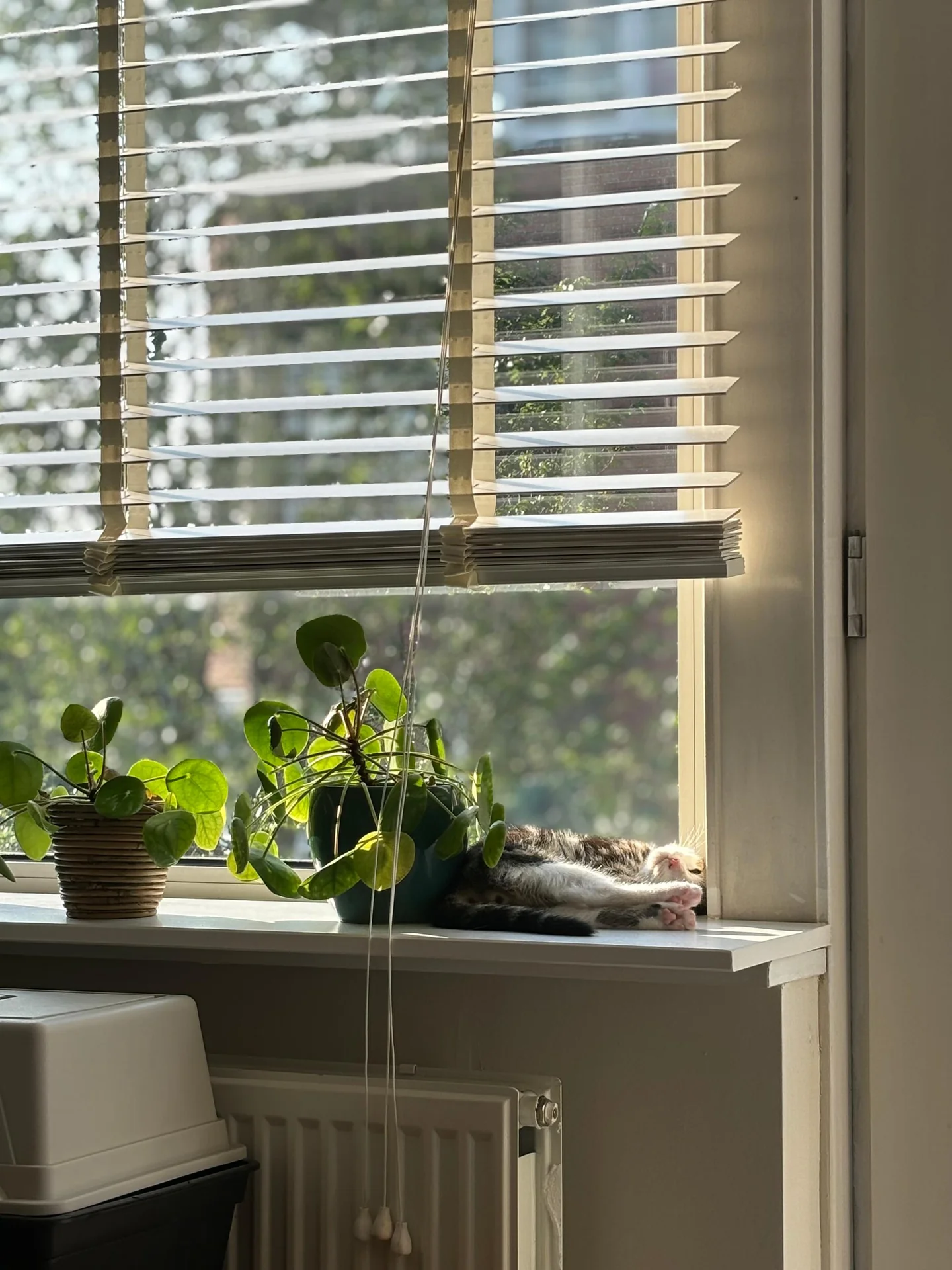 Foto van de Appartement gelegen aan de Balistraat in Amsterdam