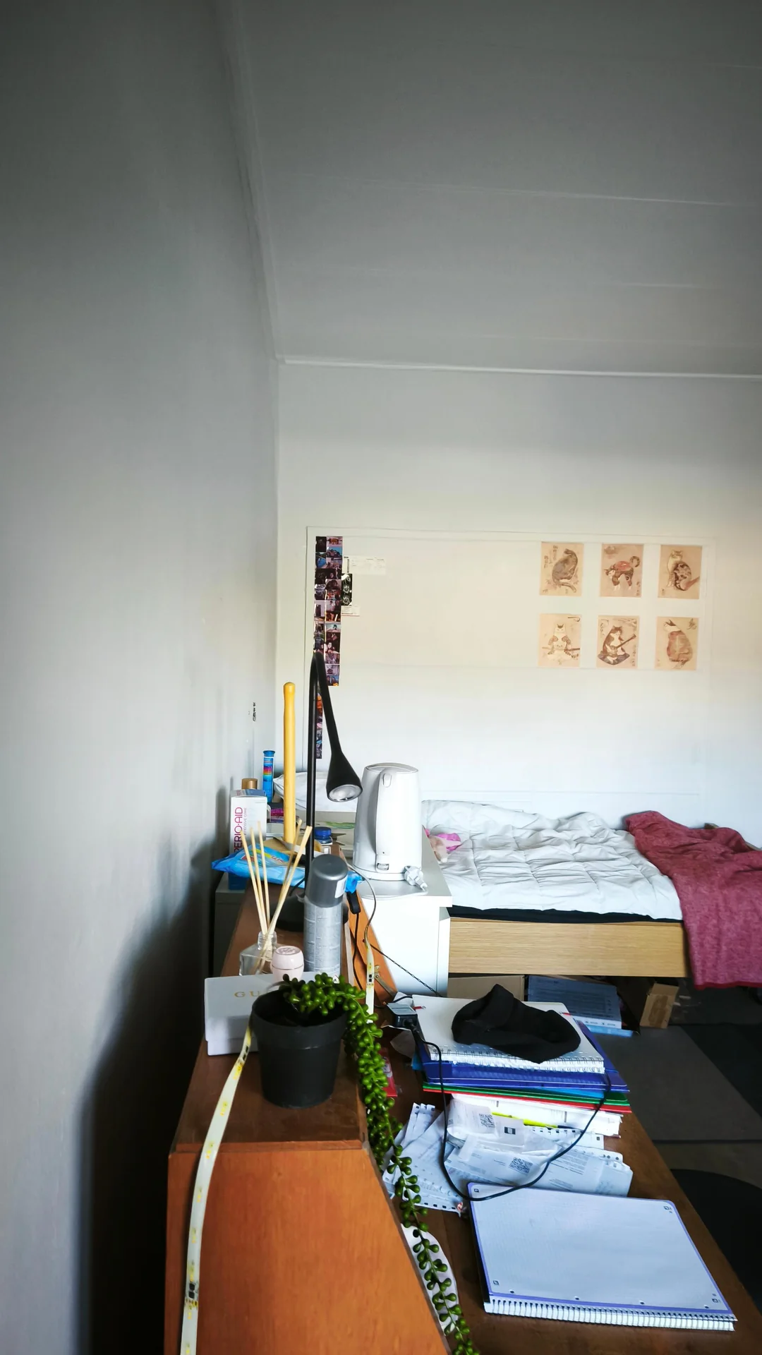 Foto van de Kamer gelegen aan de Herenstraat in Leiden
