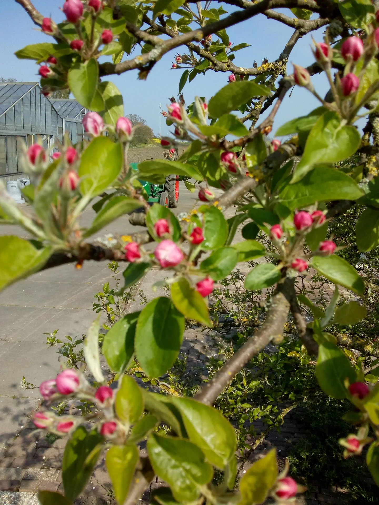 Foto van de Kamer gelegen aan de Oosterweg in Leimuiden