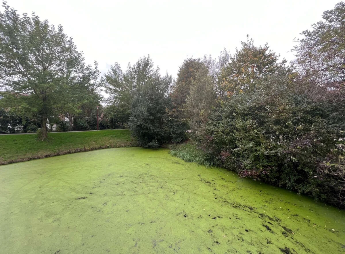Foto van de Appartement gelegen aan de Barmsijs in Nieuwegein