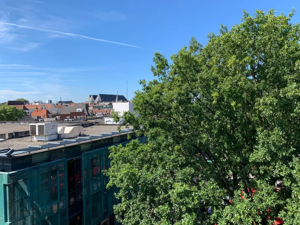 Foto van de Appartement gelegen aan de Drie Pistolengang in Zwolle