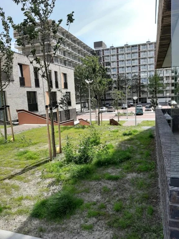 Foto van de Studio gelegen aan de IJdoornlaan in Amsterdam
