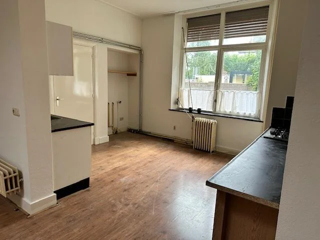 Foto van de Studio gelegen aan de Wilhelminapark in Tilburg