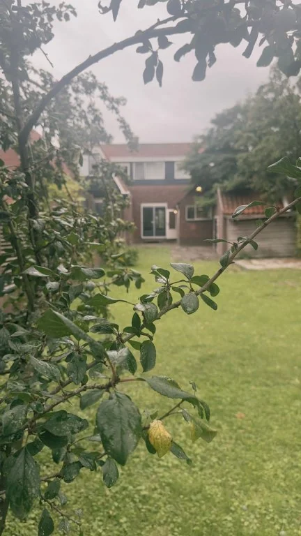 Foto van de Appartement gelegen aan de Dorpsdijk in Rhoon