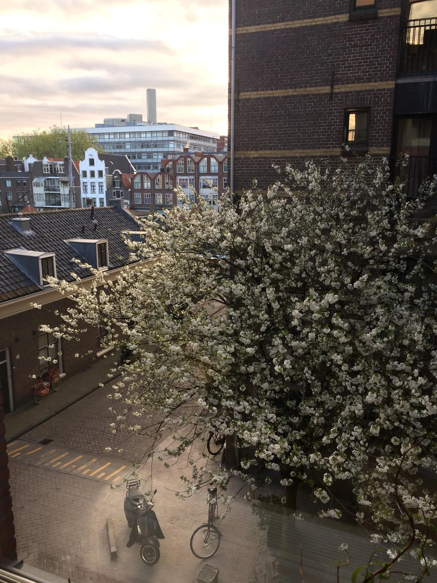 Foto van de Kamer gelegen aan de Prinseneiland in Amsterdam